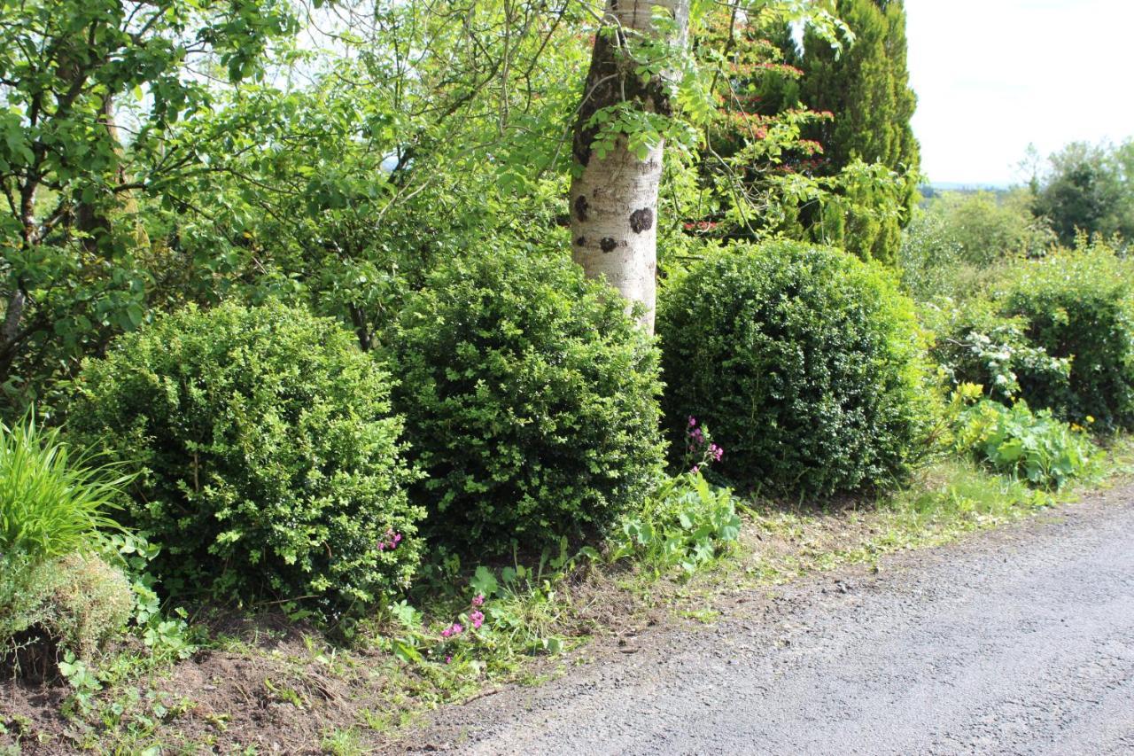 Ketty'S Cottage Rosslea Esterno foto